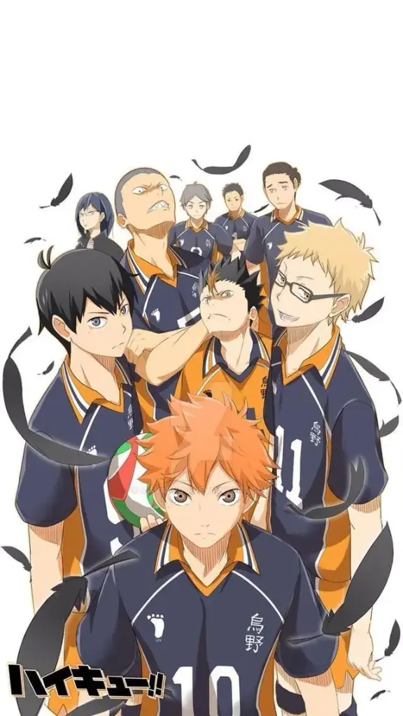 Cuadro Haikyu