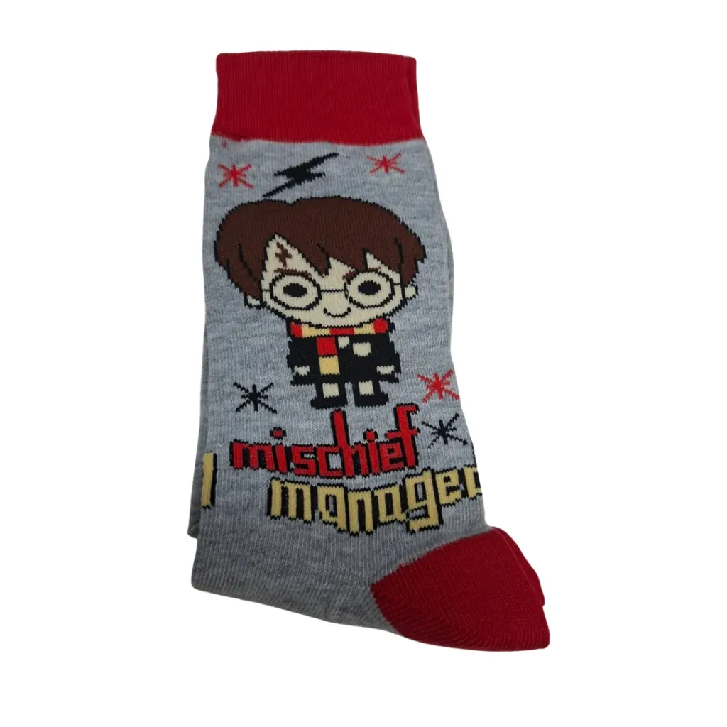 [FS3117006] Medias Largas Harry Potter